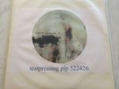 Nine Inch Nails - The Downward Spiral - Test Pressing Picture Disc - NIN - Rare