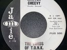 The Lords Of T.O.N.K. - The White Knight / Miniver Cheevy - Jamie 45 wlp Garage