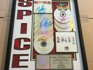 Spice Girls RIAA Multi Platin Award 