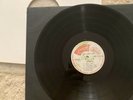 HORACE ANDY In The Light DUB Vinyl LP Massive Attack