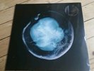 A WINGED VICTORY FOR THE SULLEN -  Undivided Five clear  lp & numbered print 100