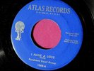 THE PARAKEETS - I Have a Love - super clean 45 rpm - Atlas 1068