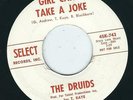 Beat Garage - The Druids SELECT 743 Girl can't take a joke / I can't leave you ?
