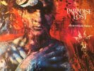 Paradise Lost Draconian Times Original Gatefold Double Vinyl LP 1995 MFN 184
