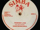 DENNIS BROWN & ASWAD - Promised Land - Simba 12