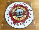 GUNS N' ROSES . november rain PICTURE 12
