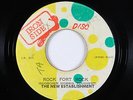 Dub Reggae 45 - New Establishment - Rock Fort Rock - Iron Side Disc Jamaica mp3