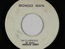 Roots Reggae 45 - Horace Andy - Skylarking - Bongoman - mp3
