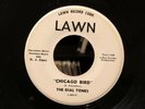 DIAL TONES 45 Chicago Bird / So Young R&B ROCKER on LAWN DJ PROMO 1963 LINK WRAY