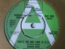 MARVIN GAYE: DEMO COPY 