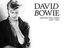 David Bowie - Loving The Alien (1983-1988) Vinyl 15 Lp Box Set New Sealed Vinyl