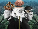 Clean Bandit - What Is Love - ID23w - vinyl LP - New
