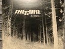 The Cure A Forest 7