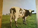 Pink Floyd LP Atom heart mother UK Harvest press A6 B6 LOVELY COPY