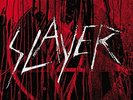Slayer - Vinyl Conflict The (11lp) [VINYL]