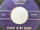 Rare Garage 45/ The Heard 