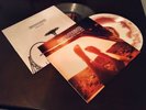 Swervedriver - I Wasn’t Born To Lose You & Future Ruins Colored Vinyl LP Set