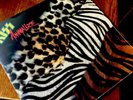 KISS USA Sticker 2014 „Animalize “ Vinyl LP Mint, verschweißt   Last One