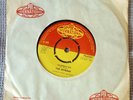 The Rivieras : California Sun (60's Surfin' Garage Rock Classic)