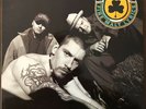 HOUSE OF PAIN - Fine Malt Lyrics (1992) LP OG UK 1st Press Vinyl RARE Rap NM