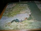 rare copy John Lennon Plastic Ono Band Original super copy  LP