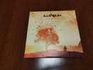 Rare Illenium Ashes Vinyl Record LP