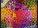 LITTER: $100 Fine LP rare Rock & Pop