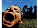 Have Heart - Songs To Scream At The Sun LP COLORED VINYL DEFEATER VERSE TRIAL