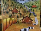 The High Llamas Hawaii Double Vinyl LP Wool 2 VG++ 1996 Electronic Rock Import