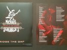 Michael Schenker's Temple Of Rock - Bridge The Gap. Vinyl LP 2013. Free Postage.