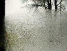 Bon Iver: For Emma, Forever Ago(+ DL)  LP vinyl