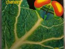 CATAPILLA - Changes - Vinyl LP - First Press Germany 1972 - Vertigo 6360 074