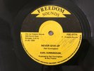 EARL CUNNINGHAM / NEVER GIVE UP & CLINT EASTWOOD / FOLLOW FASHION ROOTS REGGAE 1