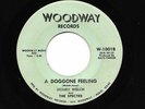 HONEY WELCH 45RPM '59 WOODWAY A DOGGONE FEELING OBSCURE ROCKABILLY VOCAL VG++