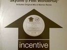 Freefall Featuring Jan Johnston - Skydive (I Feel Wonderful), 12