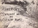 Abner Jay Swaunee Water and Cocaine Blues LP Mono Brandie  LP-1001 Private Press