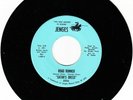 Satan's Breed Road Runner / Since You Left Me Jenges 5006 NM 45rpm 1971 HTF
