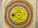 The Flying Burrito Bros ‎– Tried So Hard / Lazy Day- AMS 816- Promo