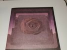 MGMT-CONGRATULATIONS-LIMITED EDITION 7