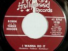 HEAR IT 60's Garage Rocker 45 rpm Robin & 3 Hoods 