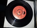 The Slender Plenty-Silver tree top school for boys Very Rare David Bowie related