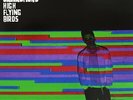 NOEL GALLAGHER'S HIGH FLYING BIRDS In The Heat Of The Moment Vinyl 12 Inch 2015