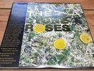 THE STONE ROSES 