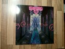 Hypocrisy Vinyl LP Penetralia Germany 1992 Ltd Edition Blue Vinyl Excellent+