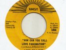 MIAMI  FUNK / BREAKS -- LYNN WILLIAMS -- HOW CAN YOU CALL LOVE FASCINATION