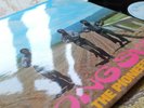 ? LONG SHOT PIONEERS 80 RE PRESS UK NM ROCKSTEADY REGGAE LP LAMINATED LISTEN