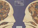 Bombay Bicycle Club - A Different Kind of Fix [Vinyl LP] [VINYL]