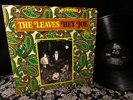 RARE 1966 ORIG   THE LEAVES   HEY JOE   HIP SUNSET STRIP FUZZ GARAGE FOLK ROCK
