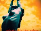 ACID MOTHERS TEMPLE Minstrel In The Galaxy LP Limited Edition Ristampa NEW .cp