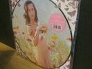 rare KATY PERRY prism RSD 2014 PICTURE DISC VINYL 2-LP SET  lady gaga adele pink